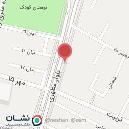 عکس تزئینات اتومبیل برادران امیر