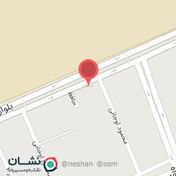 عکس گل فروشی رز