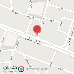 عکس پیتزا یاران