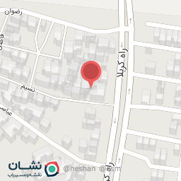 عکس لوازم یدکی علی 