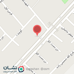 عکس تزیینات نیسان دایی علی