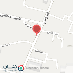 عکس ویرا الکتریک (رجب زاده) 