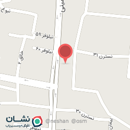 عکس کفش هادی