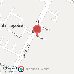 عکس برادران پلاست زنگویی