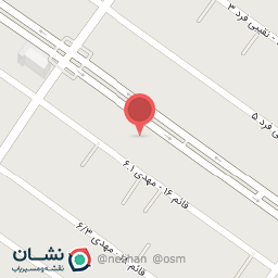 عکس کفش نگین