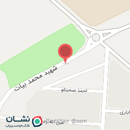 عکس شهید محمد بیات