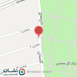 عکس اسنک تنوری نایت