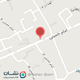 عکس کیف و کفش دیانا