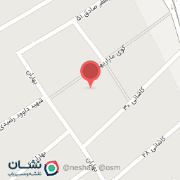 عکس سینی سرای حنای سبز