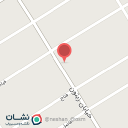 عکس نان فانتزی زیتون