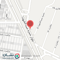 عکس تهیه غذای مارون