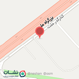 عکس دیزل بوش(هدایت)