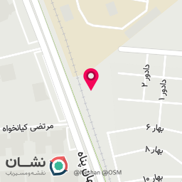 عکس دلی شاپ راوو