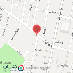 عکس خراطی باب الحوائج