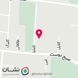 عکس قهوه نسیم 