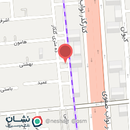 عکس تهیه غذای پاشا