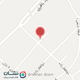 عکس کیف و  کفش سوانا