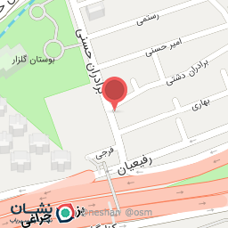 عکس پرنده فروشی 