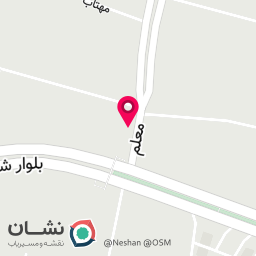 عکس فلافلی پنگوئن