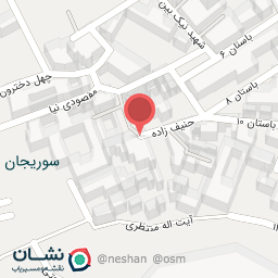 عکس مزار شهید سید ابوالفضل (هانی) تولیت