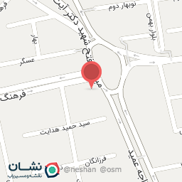 عکس پاچینی مرغ بریان و اسنک وینگ