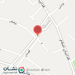 عکس الکترو _ نیک 