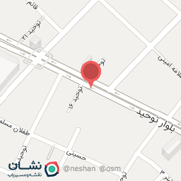 عکس پیتزا چلسی