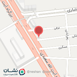 عکس پیتزا دنیز