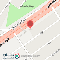 عکس امیر شیخ ویسی کارشناسی آرتروز و پروتز (ارتوپدی فنی)