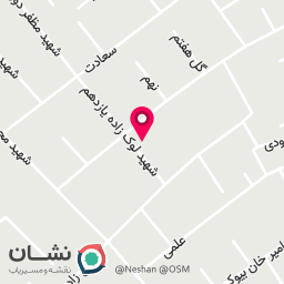 عکس گفتاردرمانی منصور تجملیان
