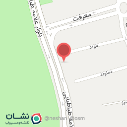 عکس نادر افشارها