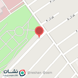عکس فروشگاه ضبط و باند شوکتی