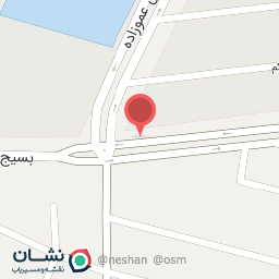 عکس فست فود سورنا