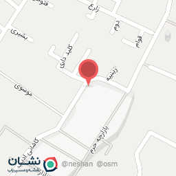 عکس کیف و کفش ریحانه