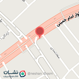 عکس پیتزا و ساندویچ نشاط