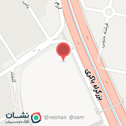 عکس پیتزا شیلا