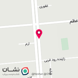 عکس آوند چوب 