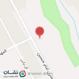 عکس دیانا جین 