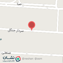 عکس صافکاری داود