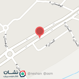 عکس قصابی نقاش