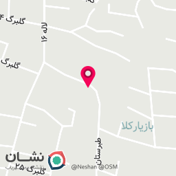 عکس داربست فلزی پرواز