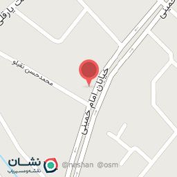 عکس کفش ورساچی