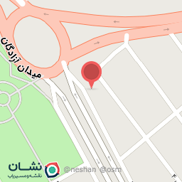 عکس تهیه غذا امیر