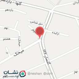 عکس الکتریکی سوسو