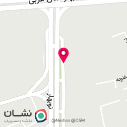 عکس پیتزا ونیز