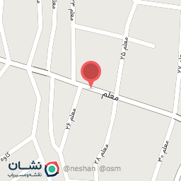 عکس مشاور املاک نیلی