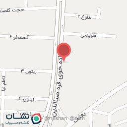 عکس تعمیرگاه گاز خودرو سالار