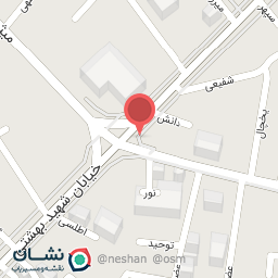 عکس پیتزا شاورما