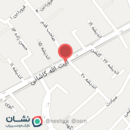 عکس خشکشویی ۳۱۵