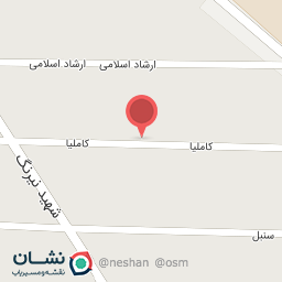 عکس دکتر نسیم اویسی